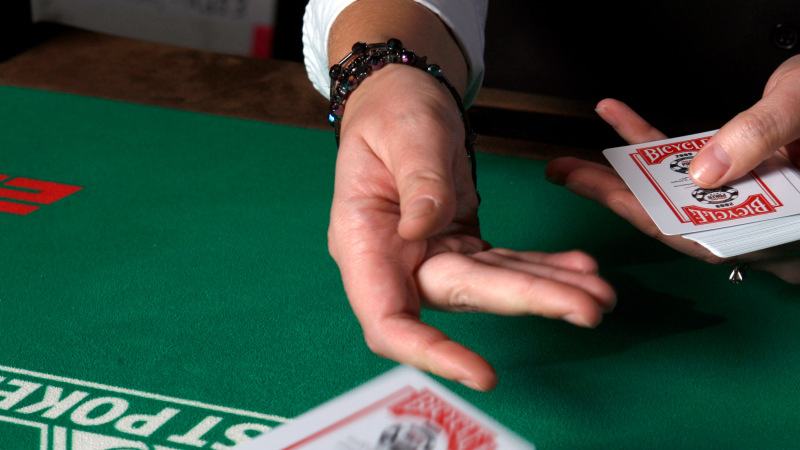 Menang di PKV Games untuk Pemula, Ini Langkah Awalannya